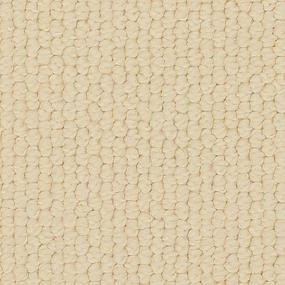 Loop Canvas Beige/Tan Carpet