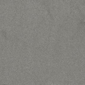Textured Saxony Direction Gray Carpet