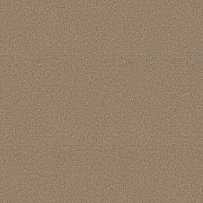 Textured Saxony Stampede Brown Carpet