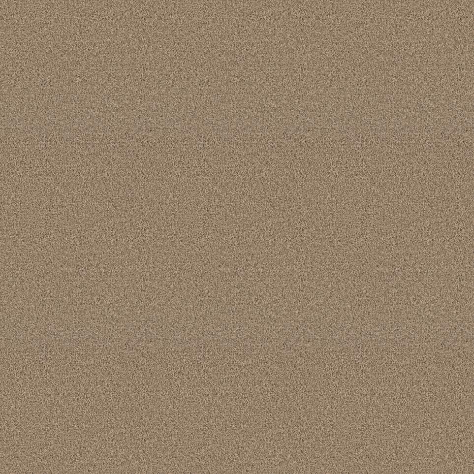 Textured Saxony Stampede Brown Carpet