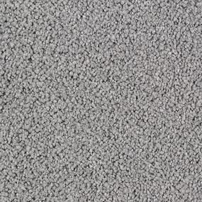 Textured Saxony Carved Stone Gray Carpet