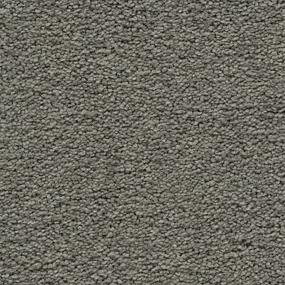 Textured Saxony Parador Stone Gray Carpet