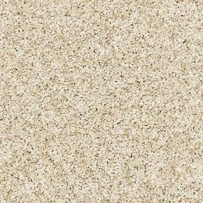 Texture Plaster Beige/Tan Carpet