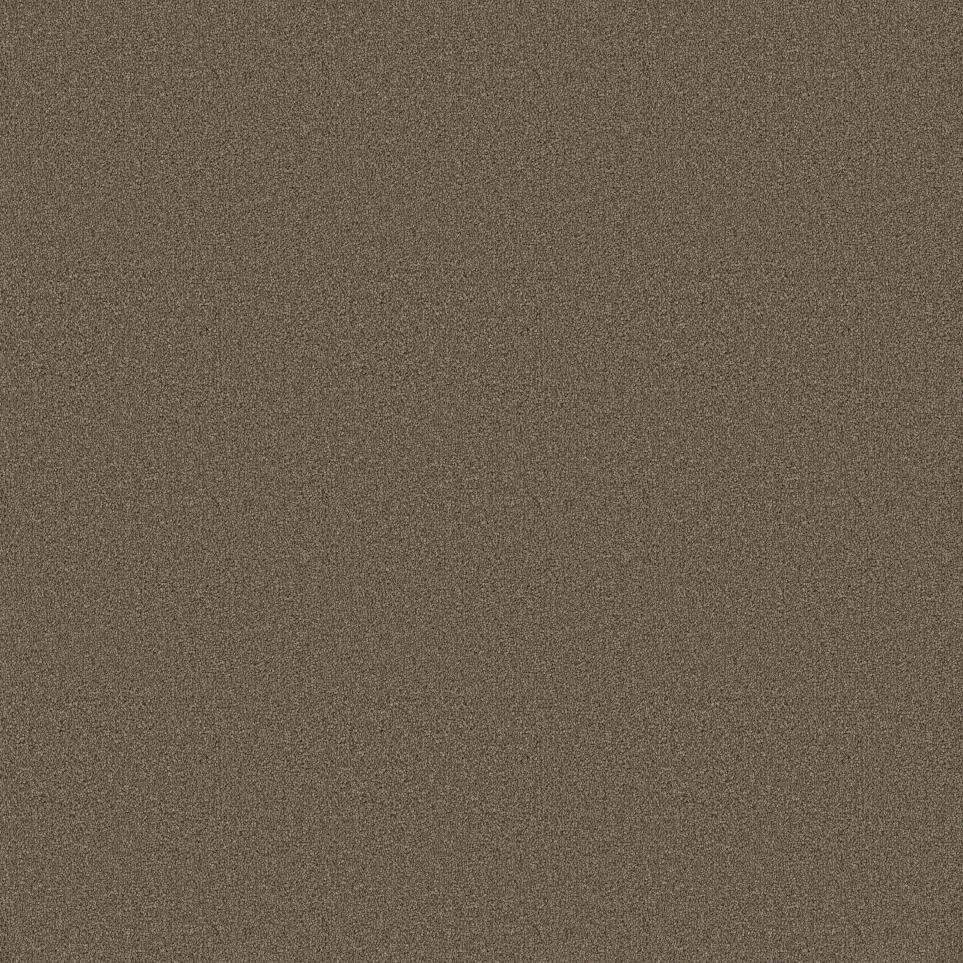 Plush Saxony Espresso Brown Carpet