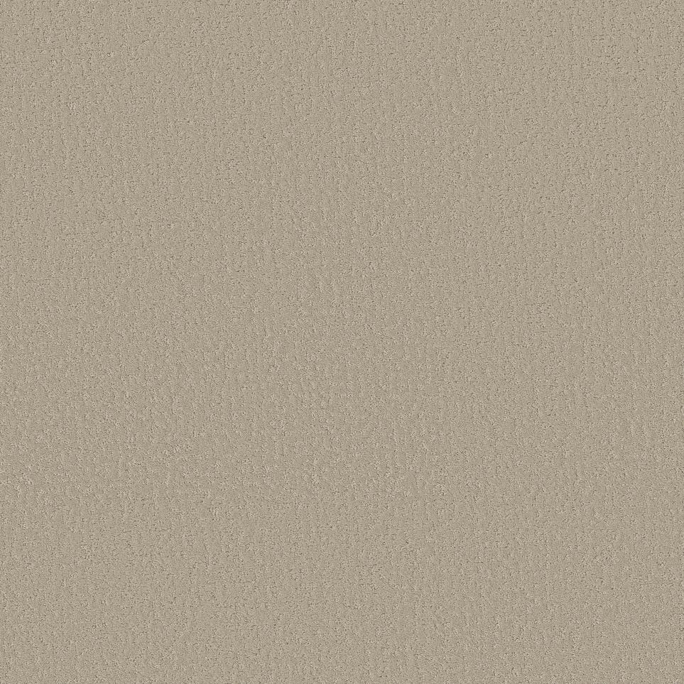 Pattern Sands Of Time Beige/Tan Carpet