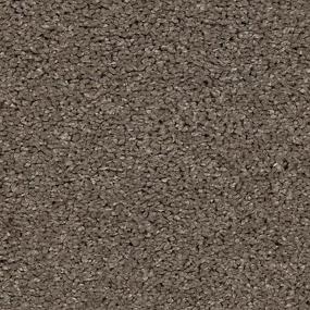 Textured Saxony Crewelwork Brown Carpet