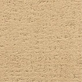 Pattern Mesa Beige/Tan Carpet