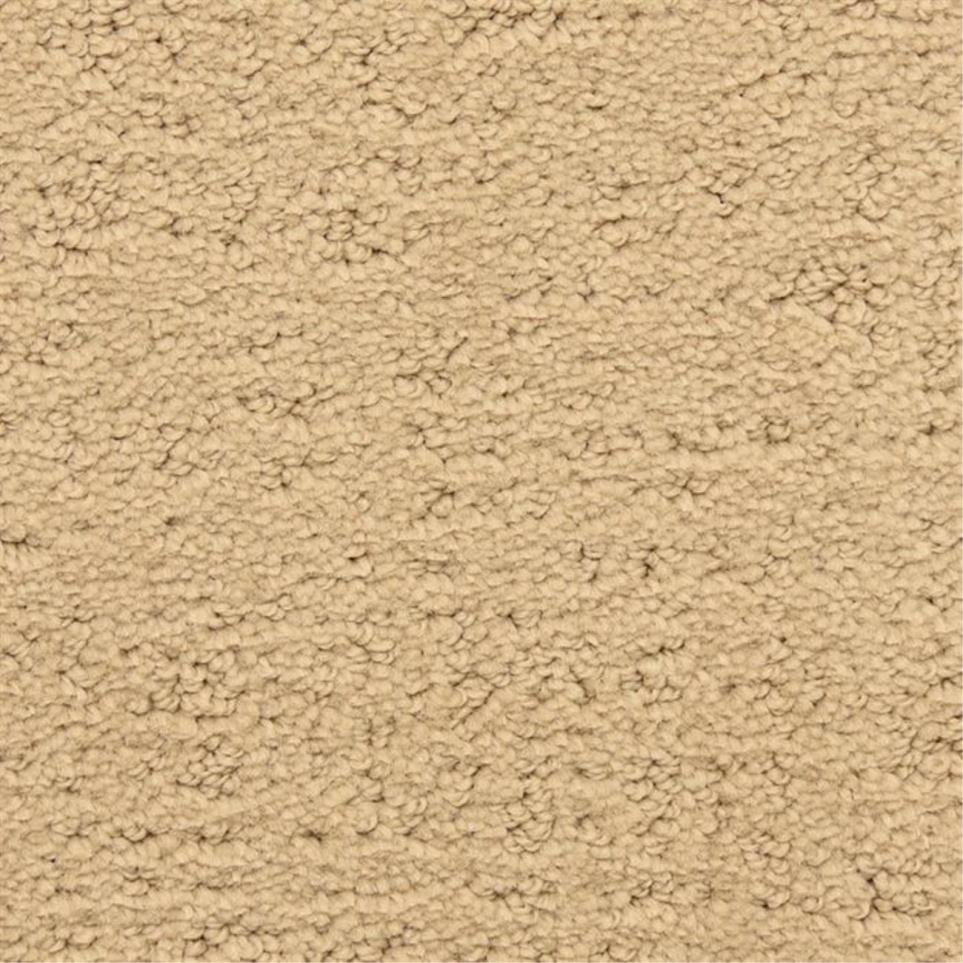 Pattern Mesa Beige/Tan Carpet
