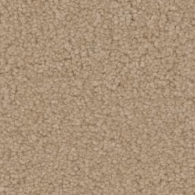 Texture Vine Brown Carpet