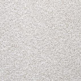 Textured Saxony Courtly Beige/Tan Carpet