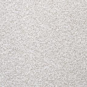 Textured Saxony Courtly Beige/Tan Carpet