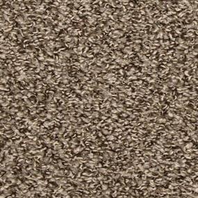 Texture Swift Brown Carpet