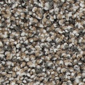 Textured Saxony Homestead Brown Carpet