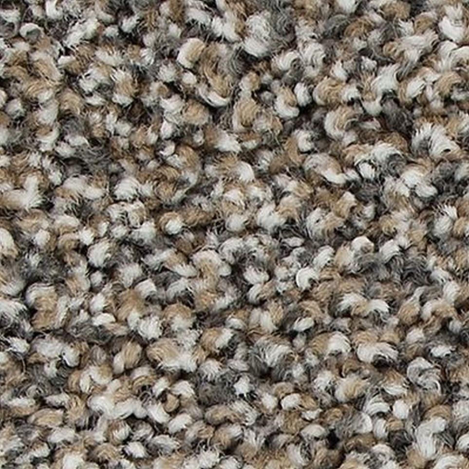 Textured Saxony Homestead Brown Carpet