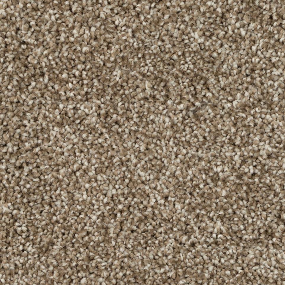 Textured Saxony Johnson Path Beige/Tan Carpet