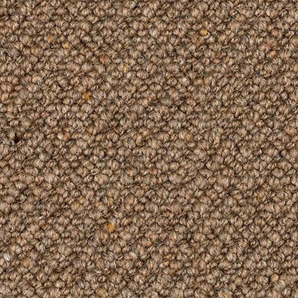Loop Burnished Brown Carpet