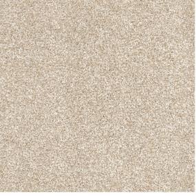 Textured Saxony BULLDOG Beige/Tan Carpet