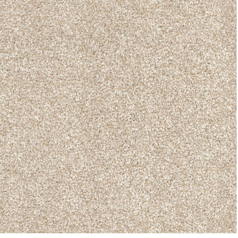 Textured Saxony BULLDOG Beige/Tan Carpet
