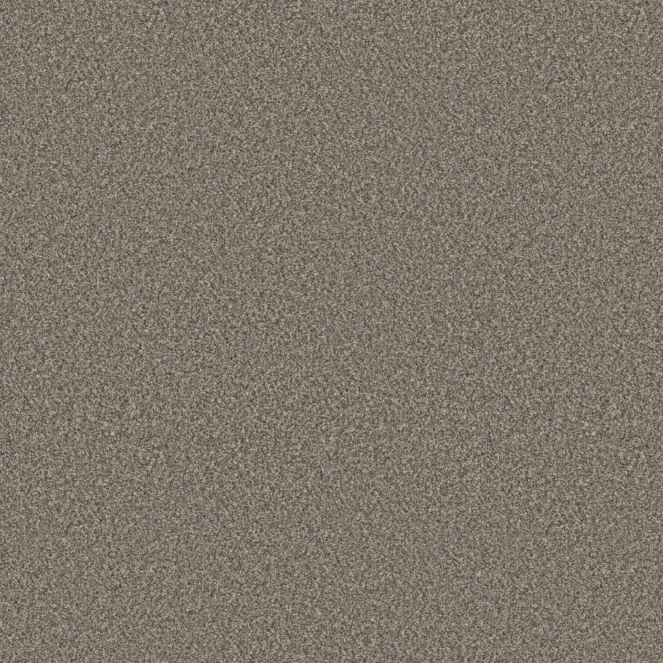 Textured Saxony RIDGEVIEW Beige/Tan Carpet