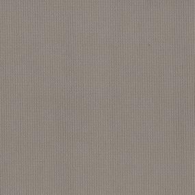 Loop Grasslands Beige/Tan Carpet