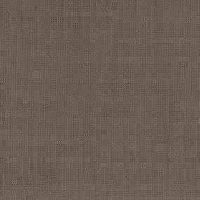Pattern Rustic Brown Carpet