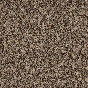 Textured Saxony Salute Brown Carpet
