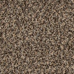Texture Salute Brown Carpet