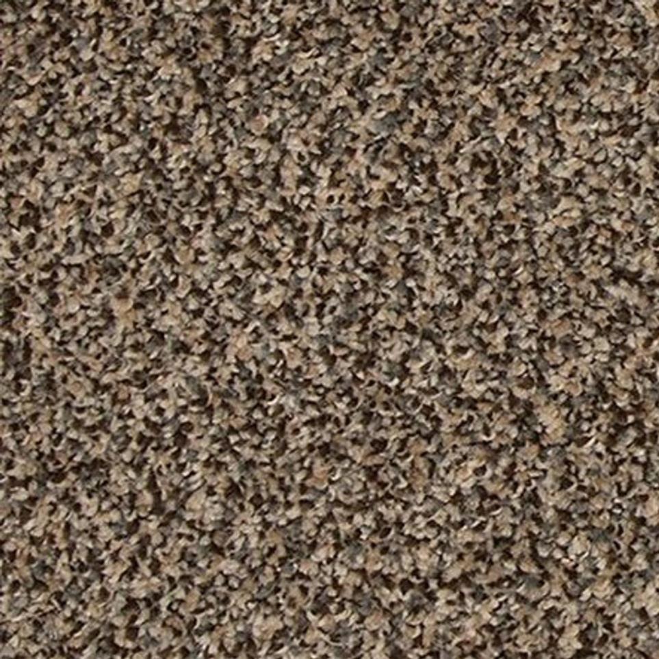 Textured Saxony Salute Brown Carpet