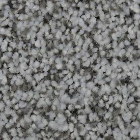 Textured Saxony Alpine Gray Carpet