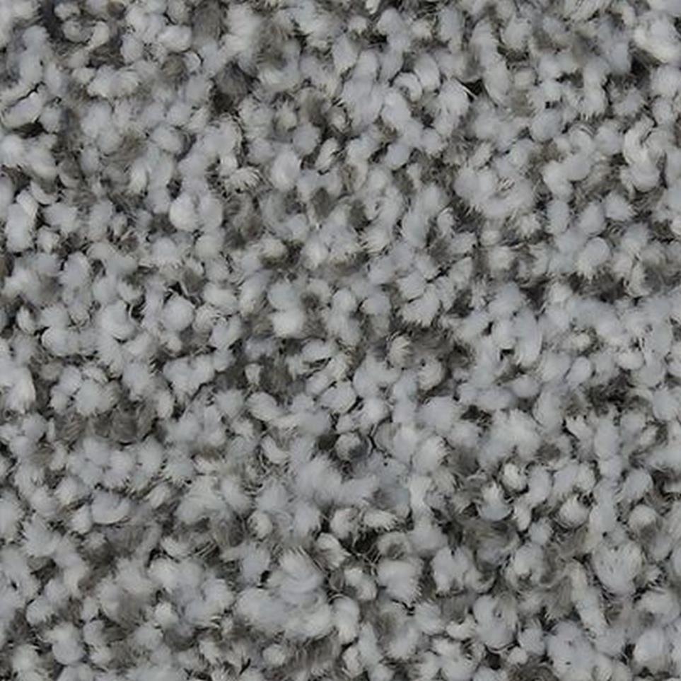 Textured Saxony Alpine Gray Carpet