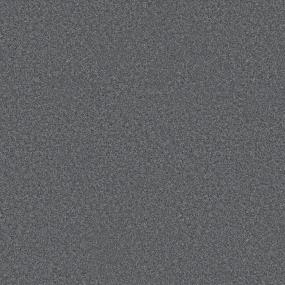 Casual Texture Sanctuary Gray Carpet