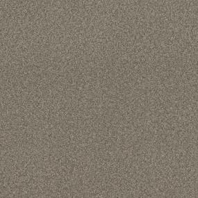 Textured Saxony Monument Beige/Tan Carpet