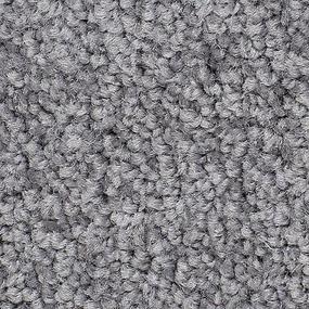 Textured Saxony Cathedral Gray Carpet