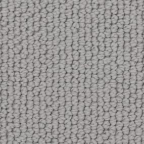 Loop Stardust Gray Carpet
