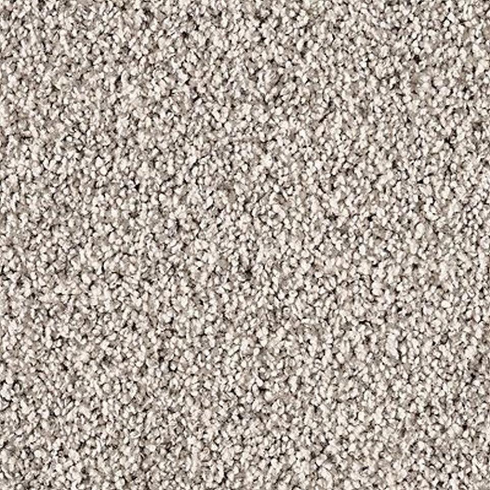 Textured Saxony Noble Gray Carpet