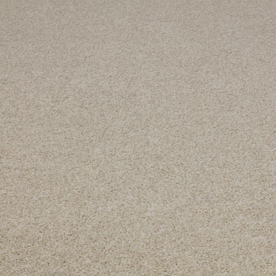 Textured Saxony Froth Beige/Tan Carpet