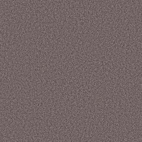 Textured Saxony Reverie Gray Carpet