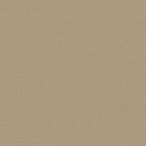 Texture Nutria Beige/Tan Carpet