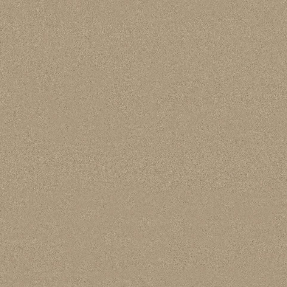 Texture Nutria Beige/Tan Carpet