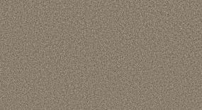 Textured Saxony Leather Beige/Tan Carpet