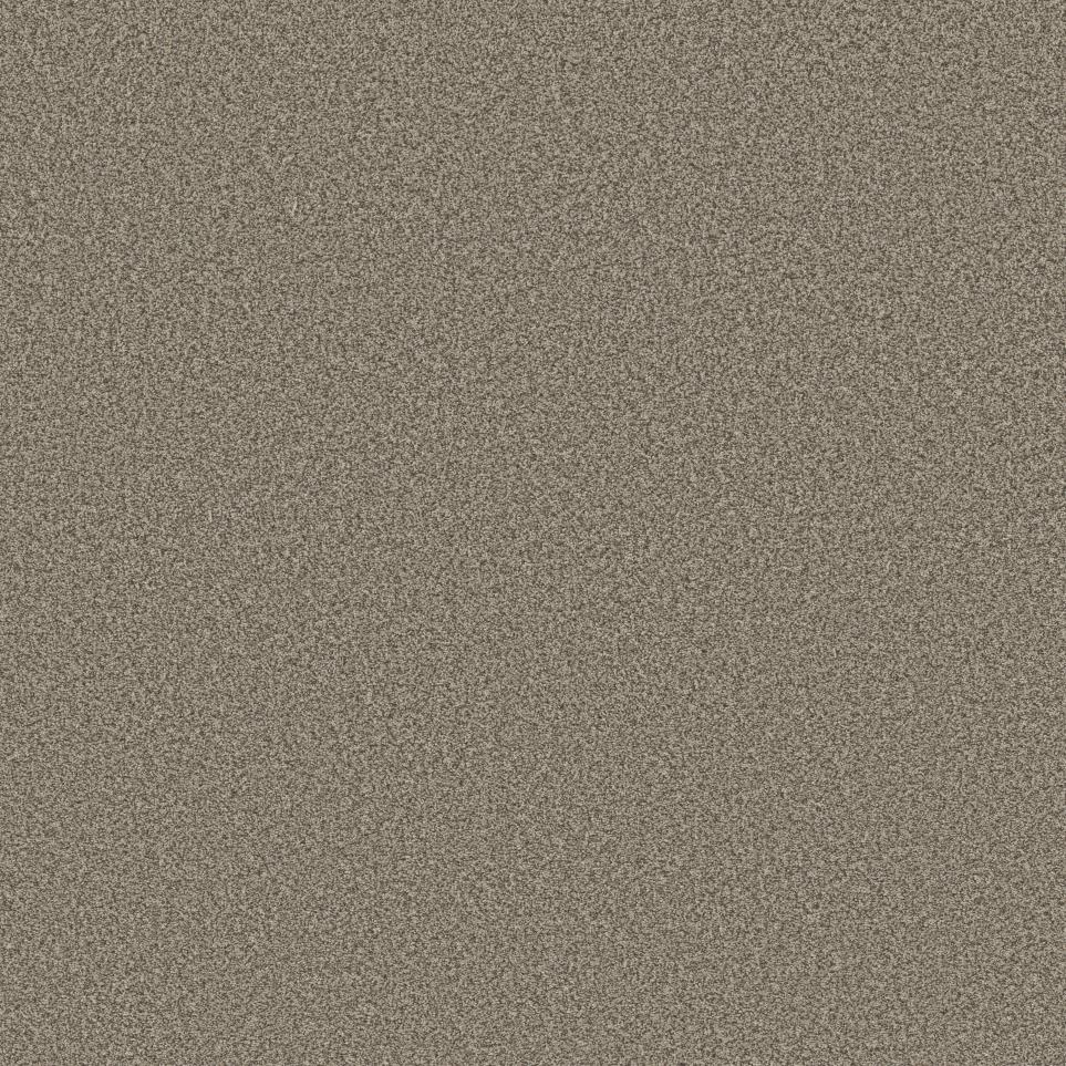 Texture Leather Beige/Tan Carpet