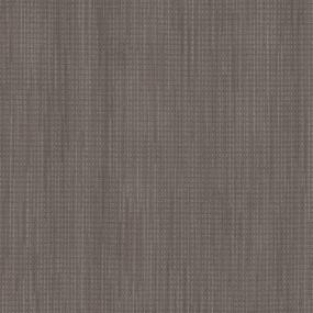 Loop Otter Beige/Tan Carpet