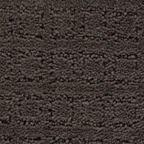Pattern Truffle Brown Carpet