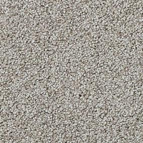 Textured Saxony Telluride Gray Carpet