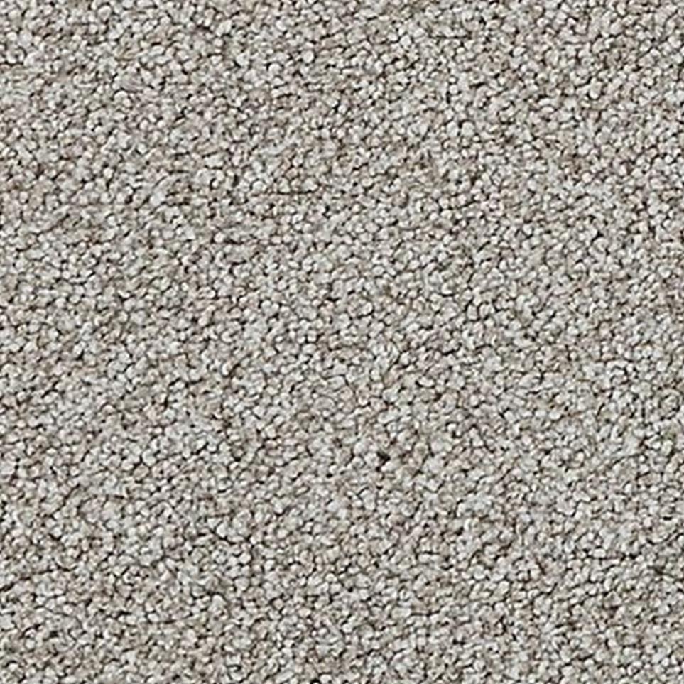 Textured Saxony Telluride Gray Carpet