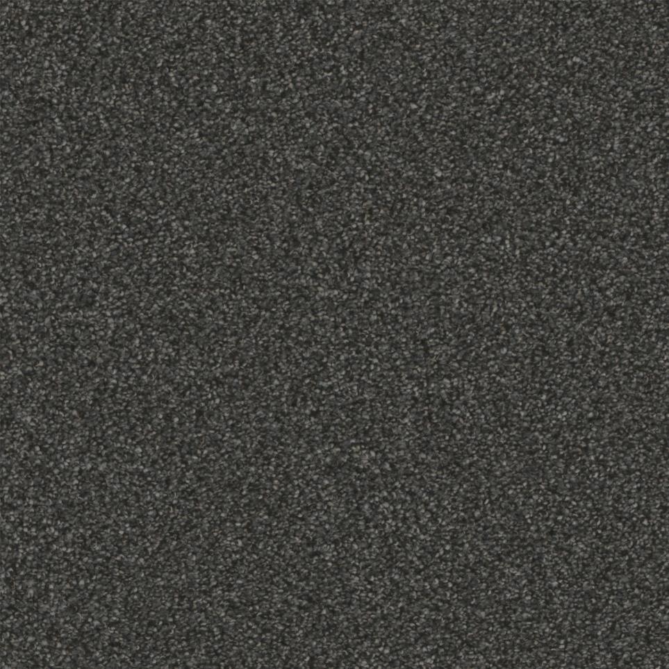 Texture Pagentry Brown Carpet