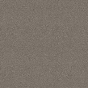 Textured Saxony Castlerock Beige/Tan Carpet