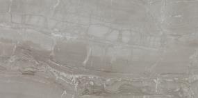 Tile Fortune Polished Gray Tile