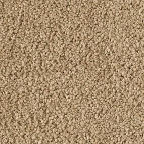 Textured Saxony Breathless Beige/Tan Carpet