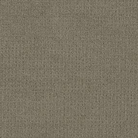 Pattern Precious Touch Brown Carpet